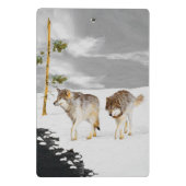 Wölfe in der Schneemalerei - Original Wildlife Art Mini Klemmbrett (Rückseite)