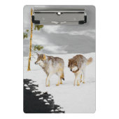 Wölfe in der Schneemalerei - Original Wildlife Art Mini Klemmbrett (Vorderseite)