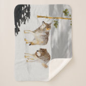 Wölfe in der Schneemalerei - Original Wildlife Art Sherpadecke (Vorderseite)
