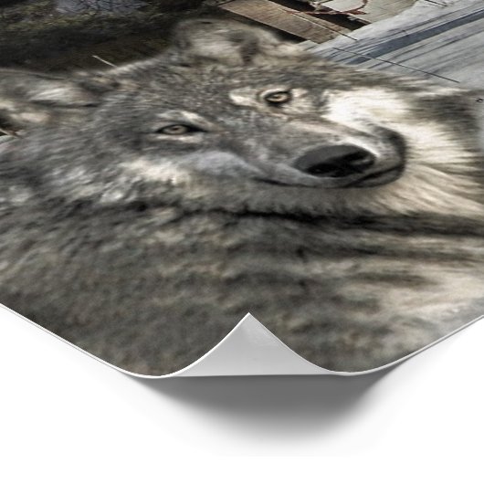 Wölfe kommen Zuhause Poster (Ecke)