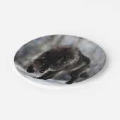 Wölfe Pappteller (Schrägansicht)