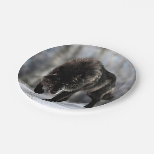 Wölfe Pappteller (Schrägansicht)