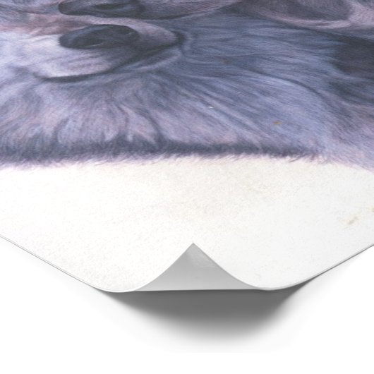 Wölfe Poster (Ecke)