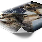 Wölfe Poster (Ecke)