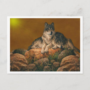 Wölfe Postkarte