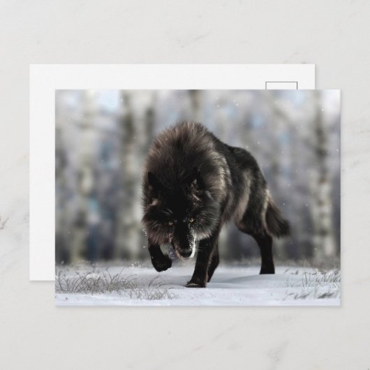 Wölfe Postkarte (Vorne/Hinten)