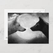 Wölfe Postkarte (Vorne/Hinten)