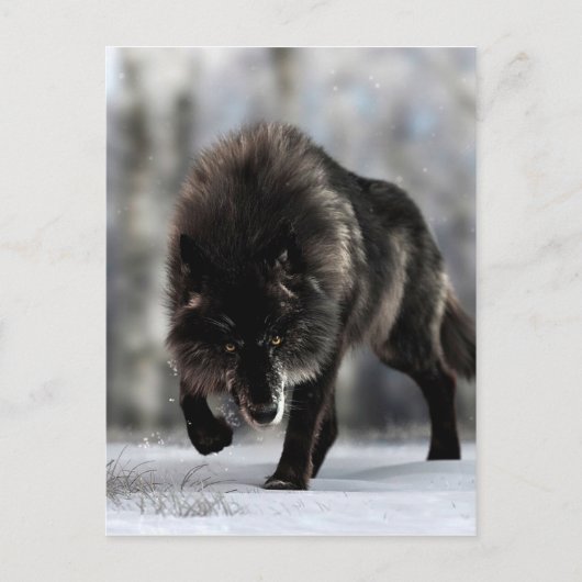 Wölfe Postkarte (Vorderseite)