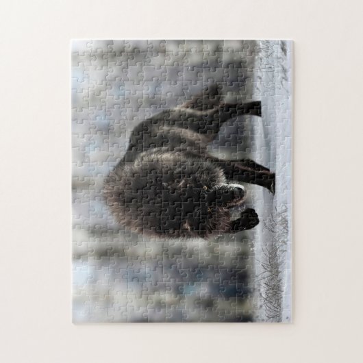 Wölfe Puzzle (Vertikal)