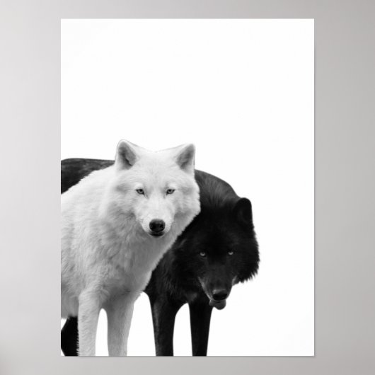 Wölfe Schwarz Weiß Hütte Rustikal Foto Poster (Vorne)