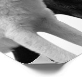 Wölfe Schwarz-weiß Hütte Rustikales Foto Poster (Ecke)