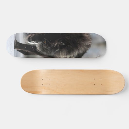 Wölfe Skateboard (Horizontal)