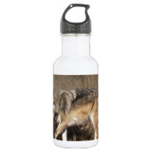 WÖLFE TRINKFLASCHE (Vorderseite)