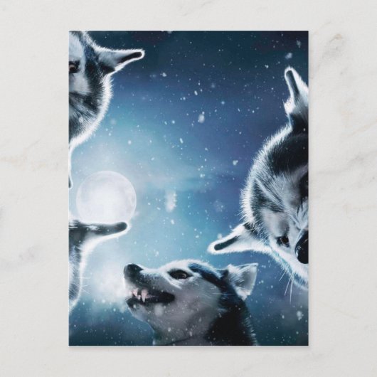 Wölfe und Mond Postkarte (Vorderseite)