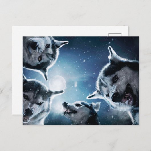 Wölfe und Mond Postkarte (Vorne/Hinten)
