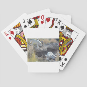 Wölfe Wald Natur Land Frieden Liebe Tier Spielkarten