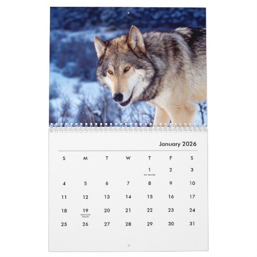 Wölfe Wall Calendar Kalender (Jan 2026)