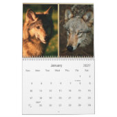 Wölfe-Wildtierkalender 2021 Kalender (Jan 2027)