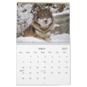 Wölfe-Wildtierkalender 2021 Kalender (Mär 2027)