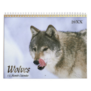 Wölfe-Wildtierkalender 2021 Kalender