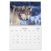 Wölfe-Wildtierkalender 2021 Kalender (Feb 2026)