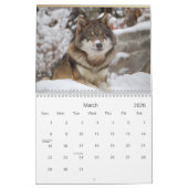 Wölfe-Wildtierkalender 2021 Kalender (Mär 2026)