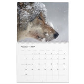 Wölfe Wolf Wildtiere Tier Wand Kalender (Feb 2027)