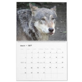 Wölfe Wolf Wildtiere Tier Wand Kalender (Mär 2027)