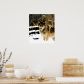 Wolfen im Schnee Poster (Küche)