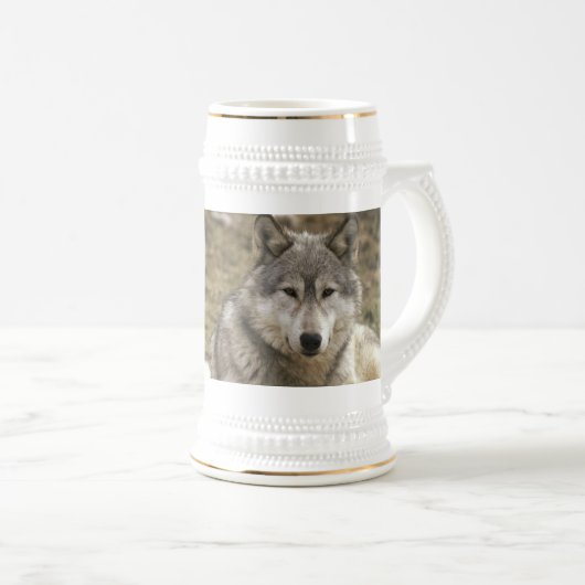 Wolfen Stein Bierglas (VorderseiteRechts)