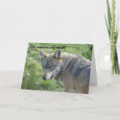 Wolfgeburtstagskarte Karte (Vorderseite)