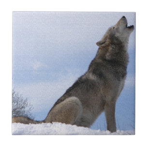 Wolfheulen Fliese