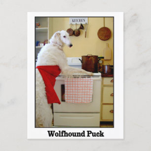 Wolfhound Puck Postkarte