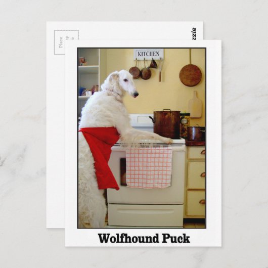 Wolfhound Puck Postkarte (Vorne/Hinten)