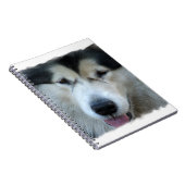 Wolfmalamute-Bild-Notizbuch Notizblock (Rechte Seite)