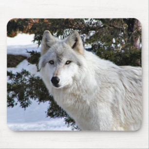 WolfMausunterlage Mousepad