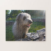 Wolfound Poodle Mix in Sunlit Pasta Puzzle (Horizontal)