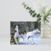 wolfpack postkarte (Stehend Vorderseite)