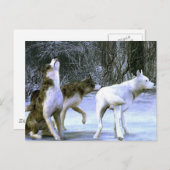 wolfpack postkarte (Vorne/Hinten)