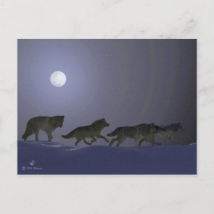 Wolfpack Postkarte
