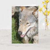 Wolfprowl-Gruß-Karte Karte (Gelbe Blume)