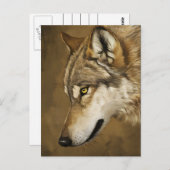 Wolfs Keen Gaze Postkarte (Vorne/Hinten)