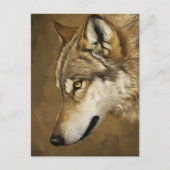 Wolfs Keen Gaze Postkarte (Vorderseite)