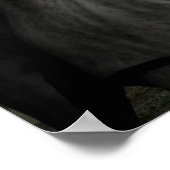 Wolfsangriffsplakat Poster (Ecke)