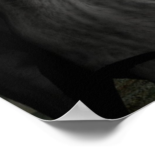 Wolfsangriffsplakat Poster (Ecke)