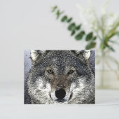 Wolfsaugen Postkarte (Stehend Vorderseite)