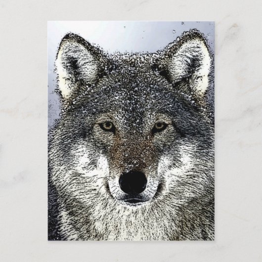 Wolfsaugen Postkarte (Vorderseite)