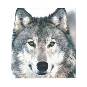 Wolfsaugen wilde Natur Tier Print Notizblock