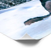Wolfschrei Fotodruck (Ecke)