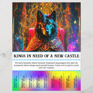 Wolfshepferhund zerreißen flyer